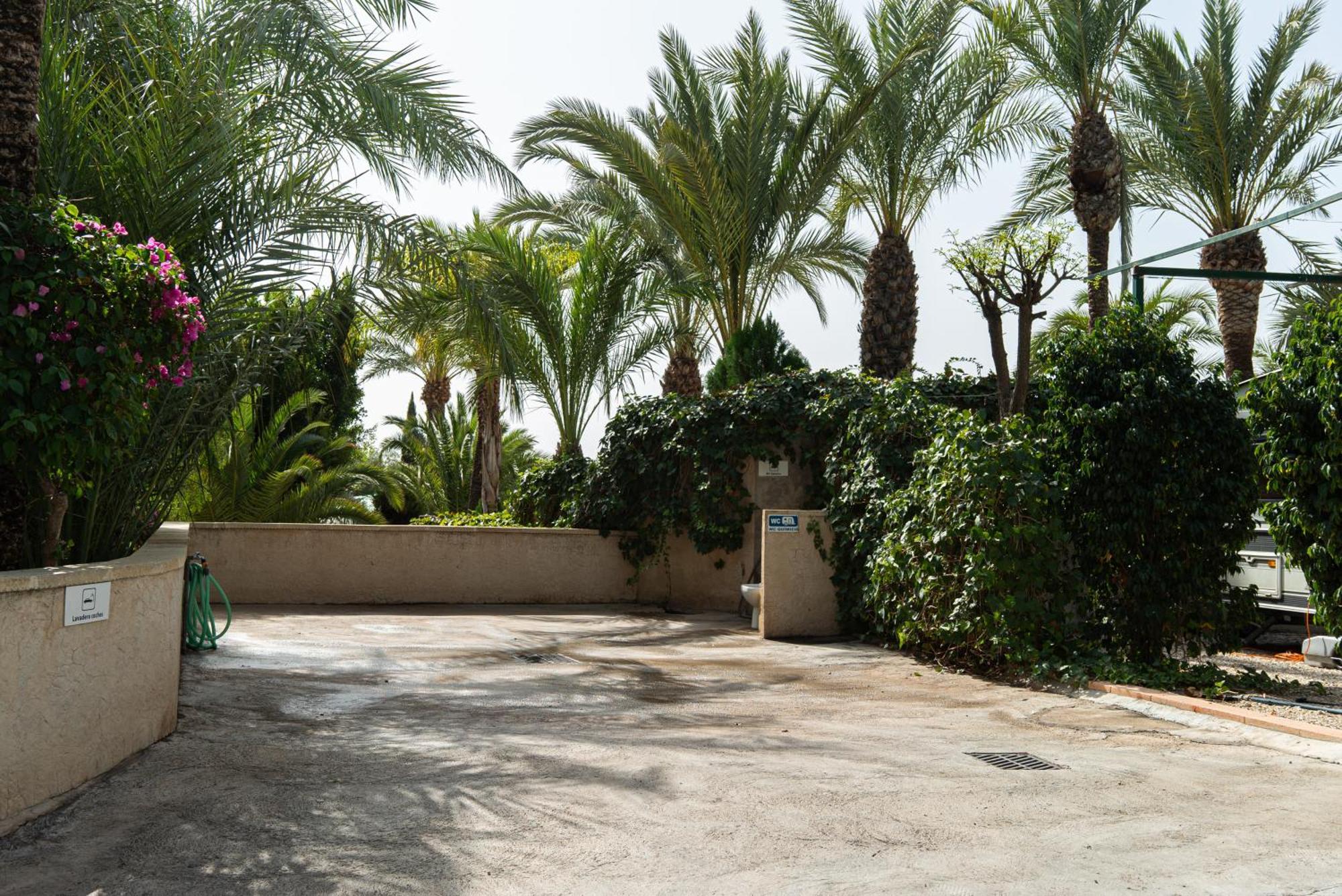Camping Las Palmeras Crevillente Εξωτερικό φωτογραφία