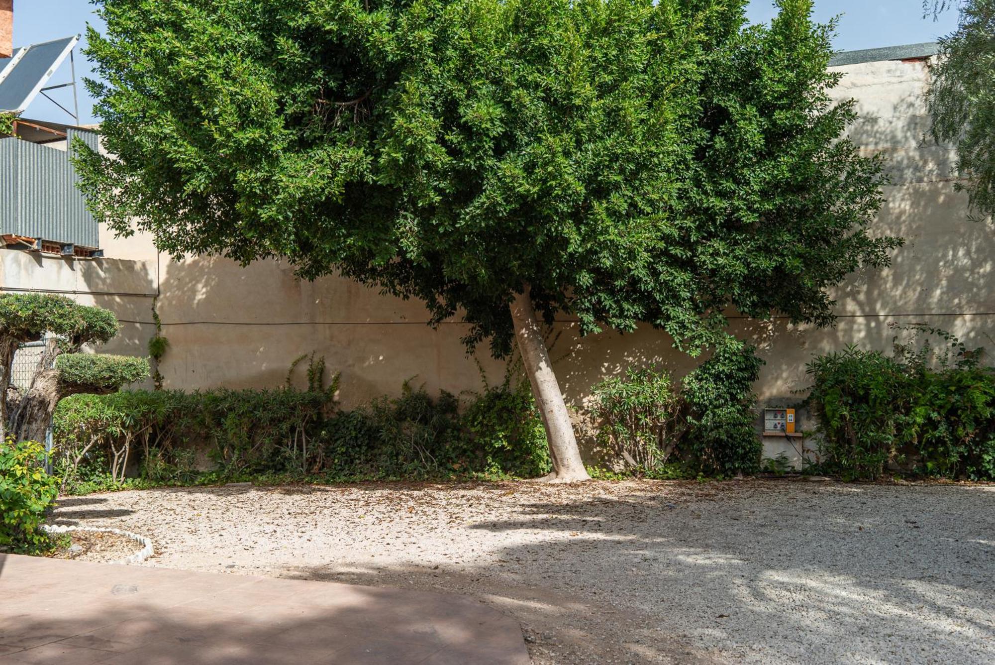 Camping Las Palmeras Crevillente Εξωτερικό φωτογραφία