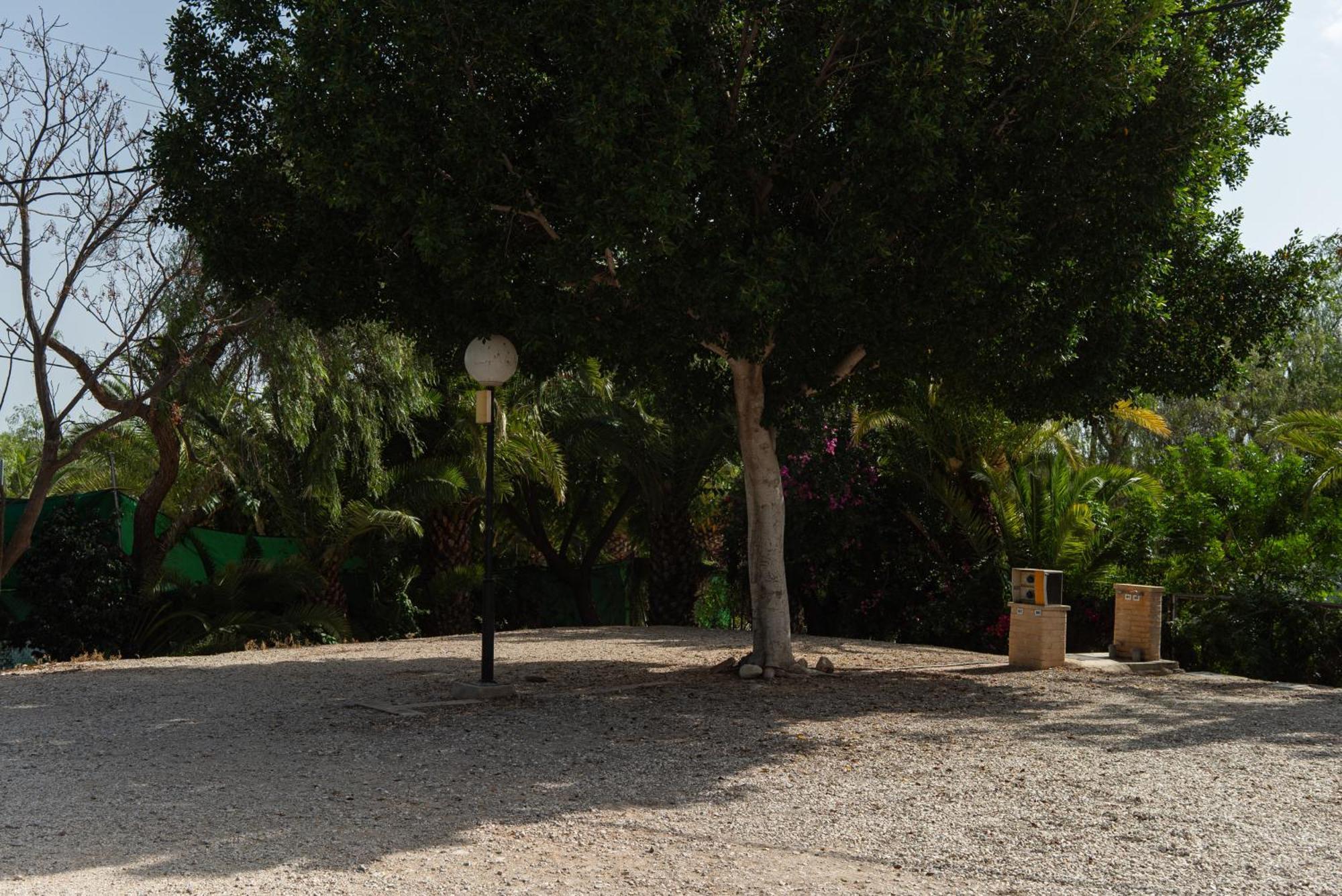 Camping Las Palmeras Crevillente Εξωτερικό φωτογραφία